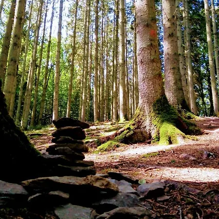 Apartmán En Ardenne , Welcome *